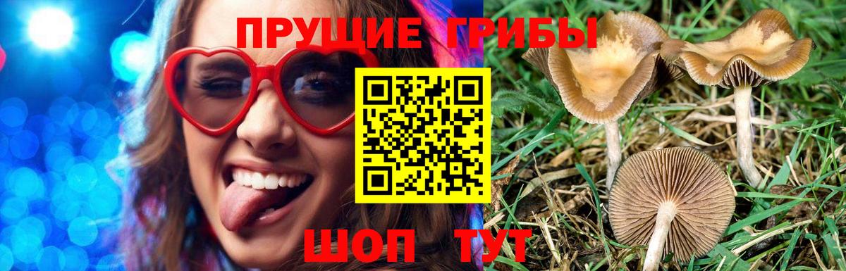 Кыштым  Псилоцибиновые грибы прущие грибы  Вход с VPN 